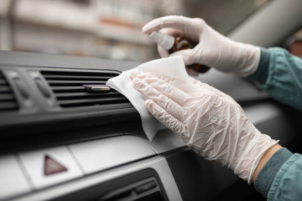 Best Ductwork Cleaning Services  in Webster, FL