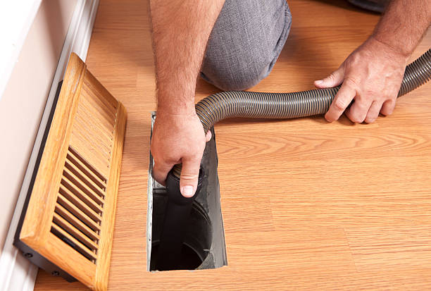 Best Dryer Vent Cleaning Services  in Webster, FL