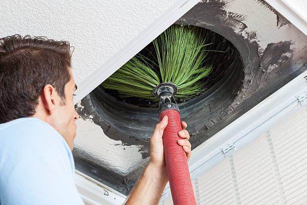Best Local Air Duct Cleaning Services  in Webster, FL
