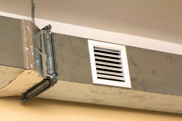Best HVAC Air Duct Cleaning  in Webster, FL